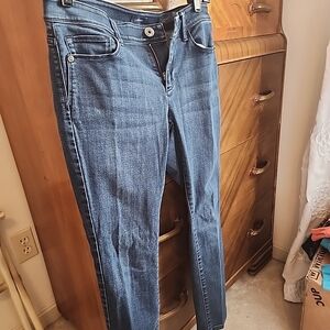 J. Jill Midnight Blue Ankle Skinny Jeans